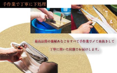 あなごの開き 穴子 あなご アナゴ 生 冷蔵 養殖 すし 寿司 刺身 白焼き 天ぷら 煮物 かば焼き 限定 旨味 ふわふわ I7
