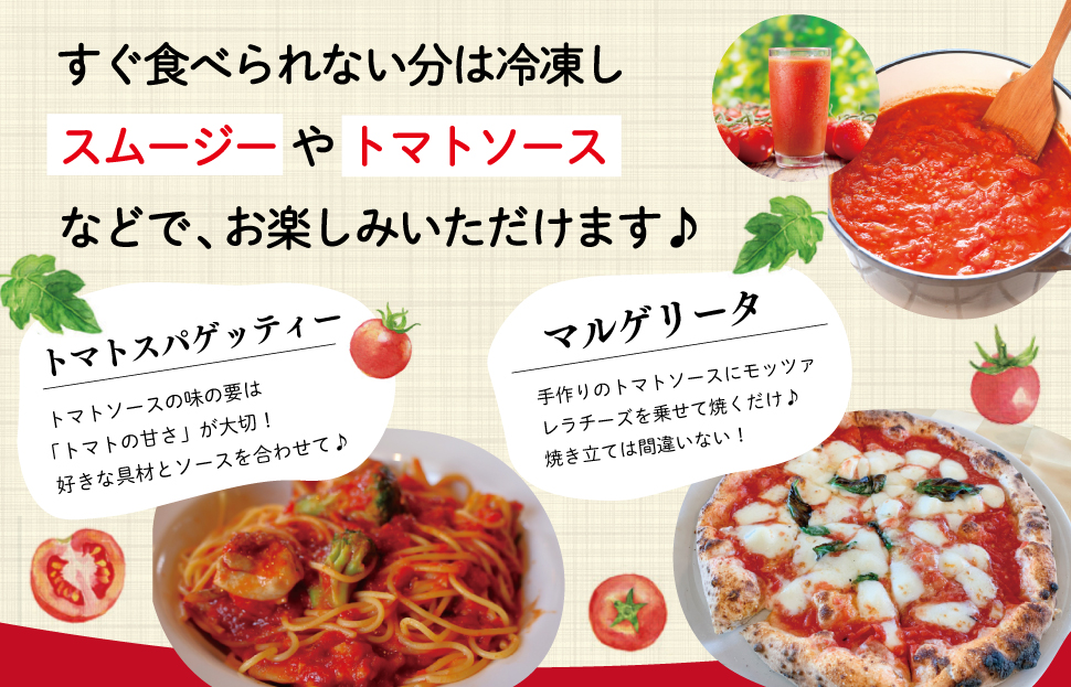 明和町産 完熟 トマト ほれまる 3kg ミニトマト 朝採り 新鮮 生鮮 野菜 あっさり