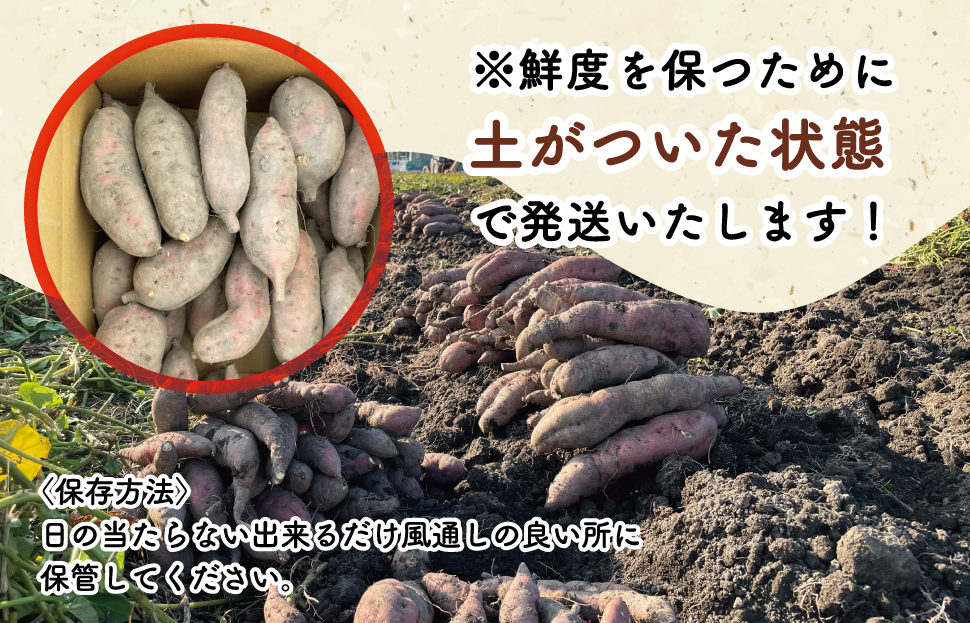 北山さんちのさつまいも 紅はるか 2kg さつまいも サツマイモ 薩摩芋 いも 芋 ほくほく 産地直送 新鮮 野菜 季節の野菜 旬 直送