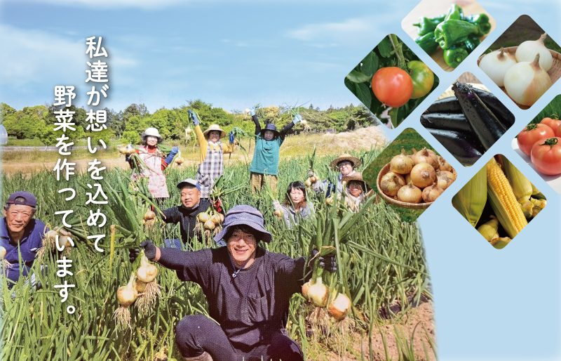 北山さんちのさつまいも 安納芋 7kg さつまいも サツマイモ 薩摩芋 いも 芋 ほくほく 産地直送 新鮮 野菜 季節の野菜 旬 直送