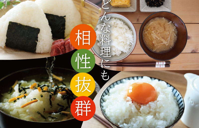 三重県産 特選米 コシヒカリ 10kg 定期便 ふるさと納税 ふるさと 米 コメ こめ おこめ ギフト プレゼント 贈答 贈り物 御祝い お祝い返礼品 人気 お取り寄せ 三重米 お米 新米 白米 精米 ブランド米 国産 MK10