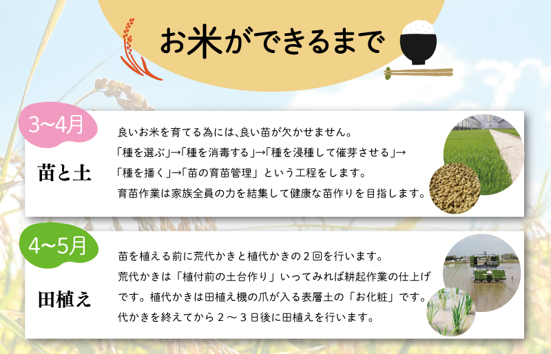 三重県産 山本農産のお米（コシヒカリ） 5kg