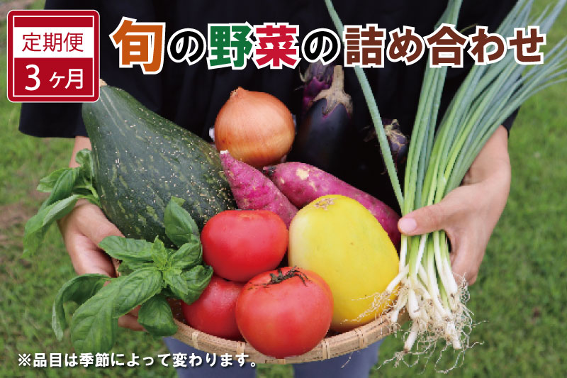 旬の野菜 詰め合わせ 6～7品以上 連続3か月 【 定期便 】 おまかせ セット 産地直送 新鮮 野菜 季節の野菜 旬 直売所 直送 連続 新鮮 ja1