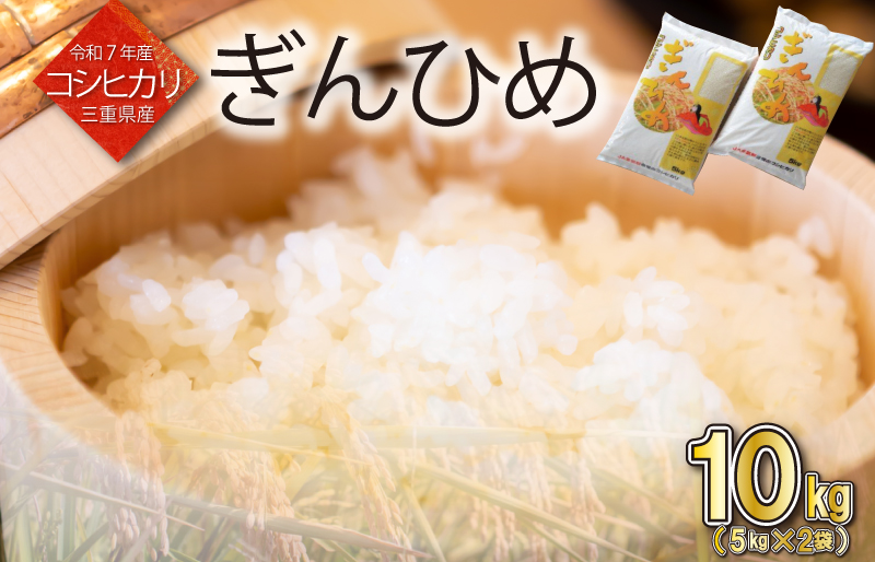 三重県産 コシヒカリ ぎんひめ 精米 5kg×2袋（合計 10kg） ふるさと納税 ふるさと 米 コメ こめ おこめ ギフト プレゼント 贈答 贈り物 御祝い お祝い返礼品 人気 お取り寄せ 三重米 お米 新米 白米 精米 ブランド米 国産 JA