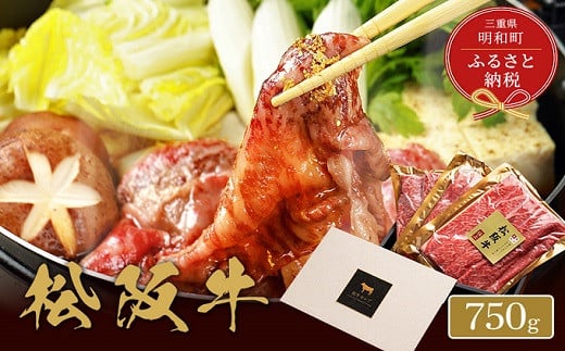 【和牛セレブ】 松阪牛 焼肉 ・ 焼きすき （肩ロース） 750g 肉 牛 牛肉 和牛 ブランド牛 高級 国産 霜降り 冷凍 ふるさと 人気 焼肉　焼肉用 BBQ バーベキュー すき焼き 焼きすき 肩ロース ロース やわらかい