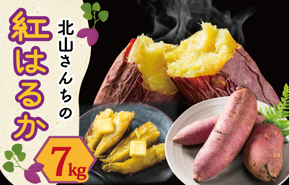 北山さんちのさつまいも 紅はるか 7kgさつまいも サツマイモ 薩摩芋 いも 芋 ほくほく 産地直送 新鮮 野菜 季節の野菜 旬 直送