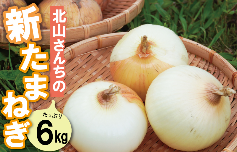北山さんちの新たまねぎ 6kg 産地直送 新鮮 野菜 季節の野菜 旬 直送 玉ねぎ タマネギ 新玉ねぎ 国産 生がおいしい フレッシュ オニオン サラダ 玉ねぎステーキ オニオンスープ 甘み ジューシー お取り寄せ kn1