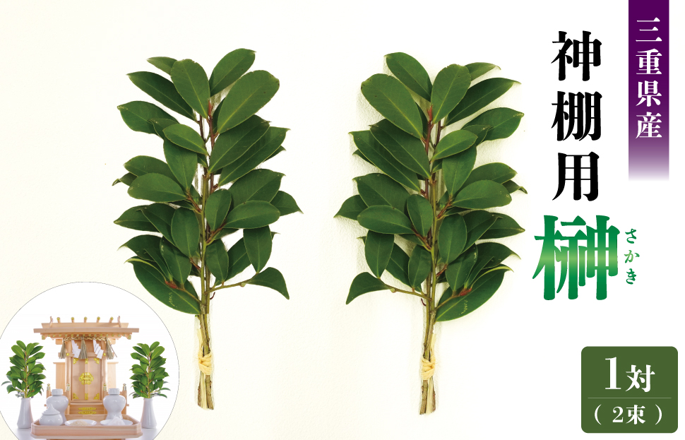 神棚用 榊  1対（2束）約25cm 神棚 さかき お供え 生花 本榊 サカキ 仏花 神具 国産 斎宮の榊