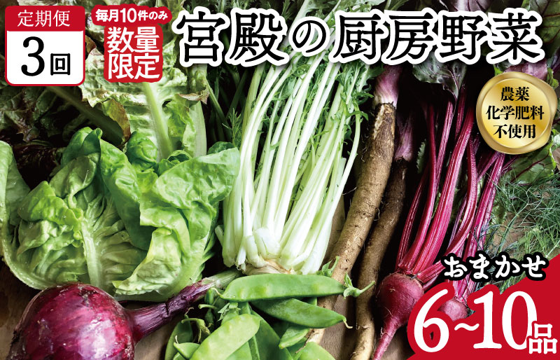宮殿の厨房野菜 おまかせ定期便 （3回） 六月農園 野菜 セット 産地直送 おまかせ 季節の野菜 旬 詰め合わせ 人気 限定 有機栽培 オーガニック 明和町 国産 リピート 定期便