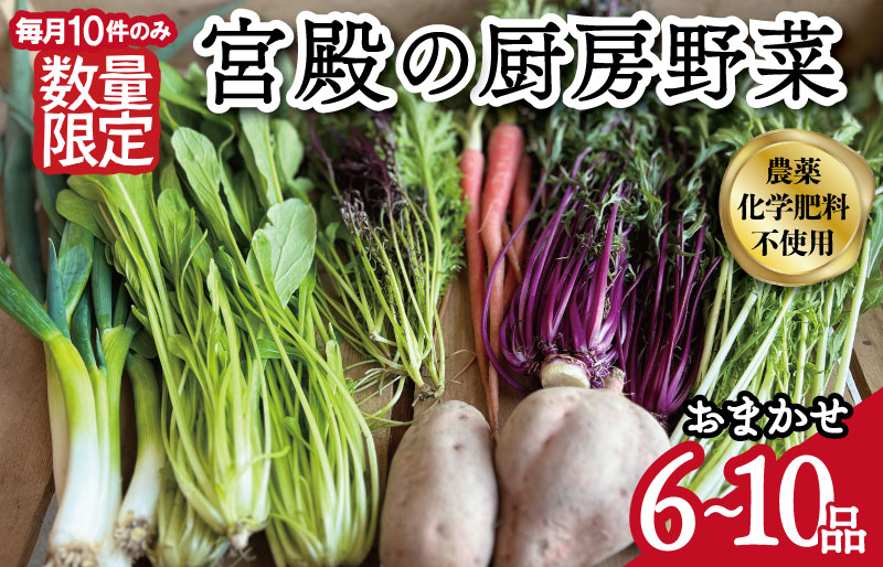 宮殿の厨房野菜 六月農園 おまかせセット 野菜 セット 産地直送 おまかせ 季節の野菜 旬 詰め合わせ 人気 限定 有機栽培 オーガニック 明和町 国産 リピート N5