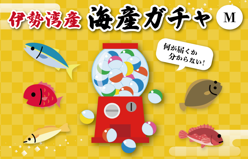 伊勢湾直送 なにが届くかな 明和の海産ガチャ Mサイズ 魚 貝 干物 海藻 新鮮 海鮮 海産 直送 海 漁師 おまかせ 旬 季節 お楽しみ 選べる内容量 U2