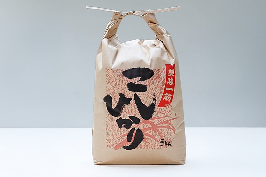 こしひかり 精米 10kg ／ 積木商店 お米 白米 米 こめ ご飯 おいしいお米 三重県 大台町