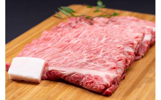 松阪牛シルクロースすき焼き 500g／冷凍 ギフト箱包装 瀬古食品 JGAP認定 松阪肉 名産 お取り寄せグルメ 牛肉 お肉 肉 和牛 黒毛和牛 国産 国産牛 松阪牛 ブランド牛 ギフト 贈答 産地直送 松阪 牛 ロース 肩ロース すき焼き用 三重県 大台町 (0049)