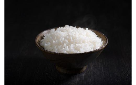 奥伊勢米 つぶら １０kg ／ 宮川TK 食味値75％以上 みえの安心食材 認定米 ブランド米 三重県 大台町