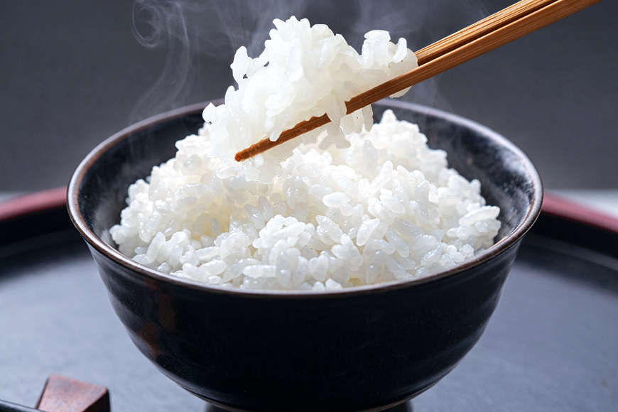 こしひかり 精米 10kg ／ 積木商店 お米 白米 米 こめ ご飯 おいしいお米 三重県 大台町