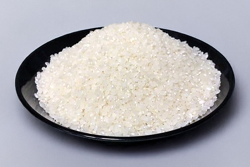 こしひかり 精米 20kg ／ 積木商店 お米 白米 米 こめ ご飯 おいしいお米 三重県 大台町