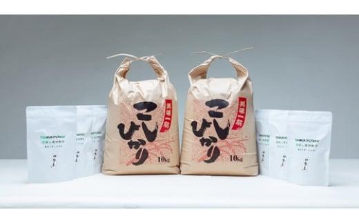 こしひかり 精米 20kg 奥伊勢茶（5g×20）3袋 （2g×40）3袋 ／ 積木商店 お米 お茶 三重県 大台町