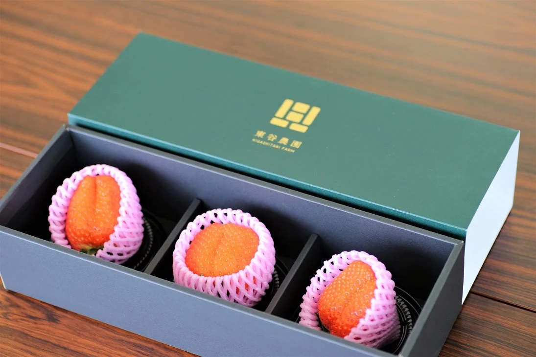 三重県産 いちご かおりの(3粒入り)