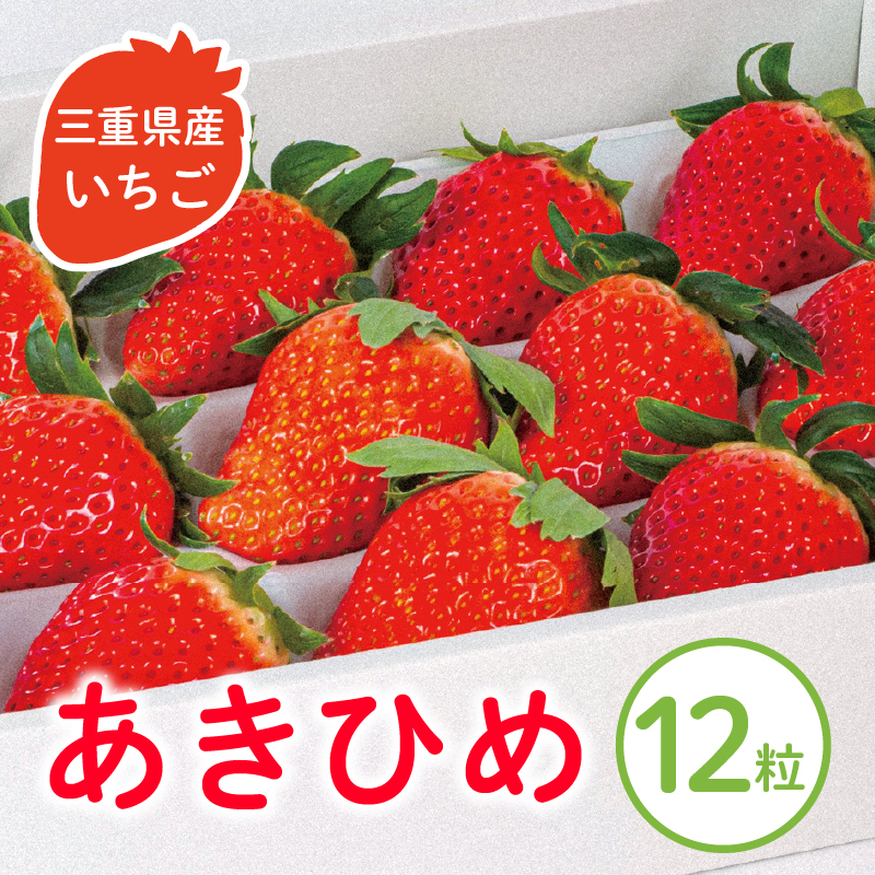 三重県玉城産 いちご 「章姫」12粒入り