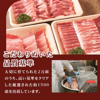 玉城豚小間切れ・バラスライスセット 1kg(250g×4パック)