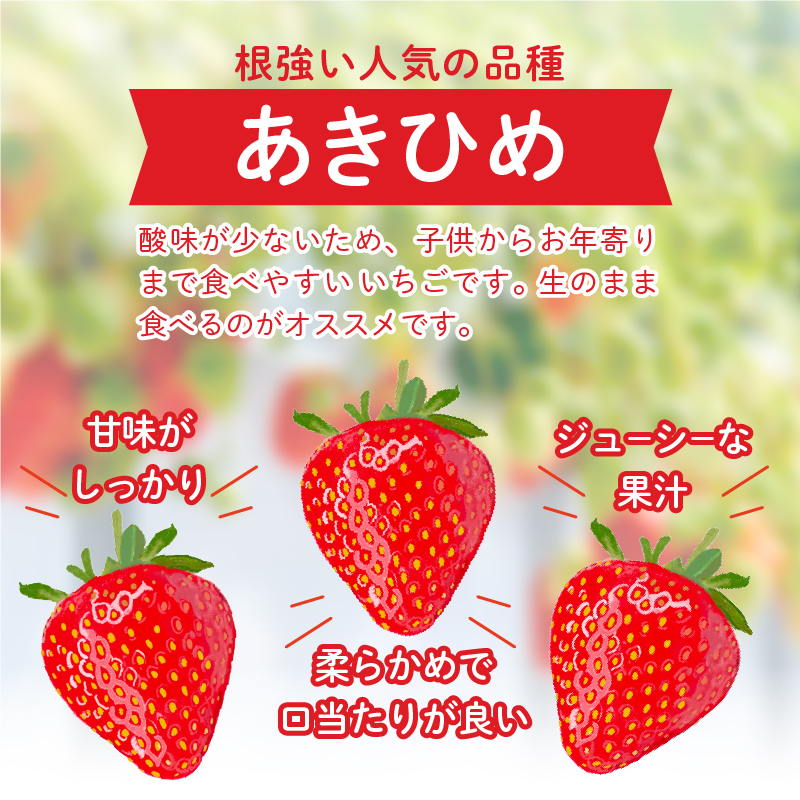 三重県玉城産 いちご 「章姫」12粒入り