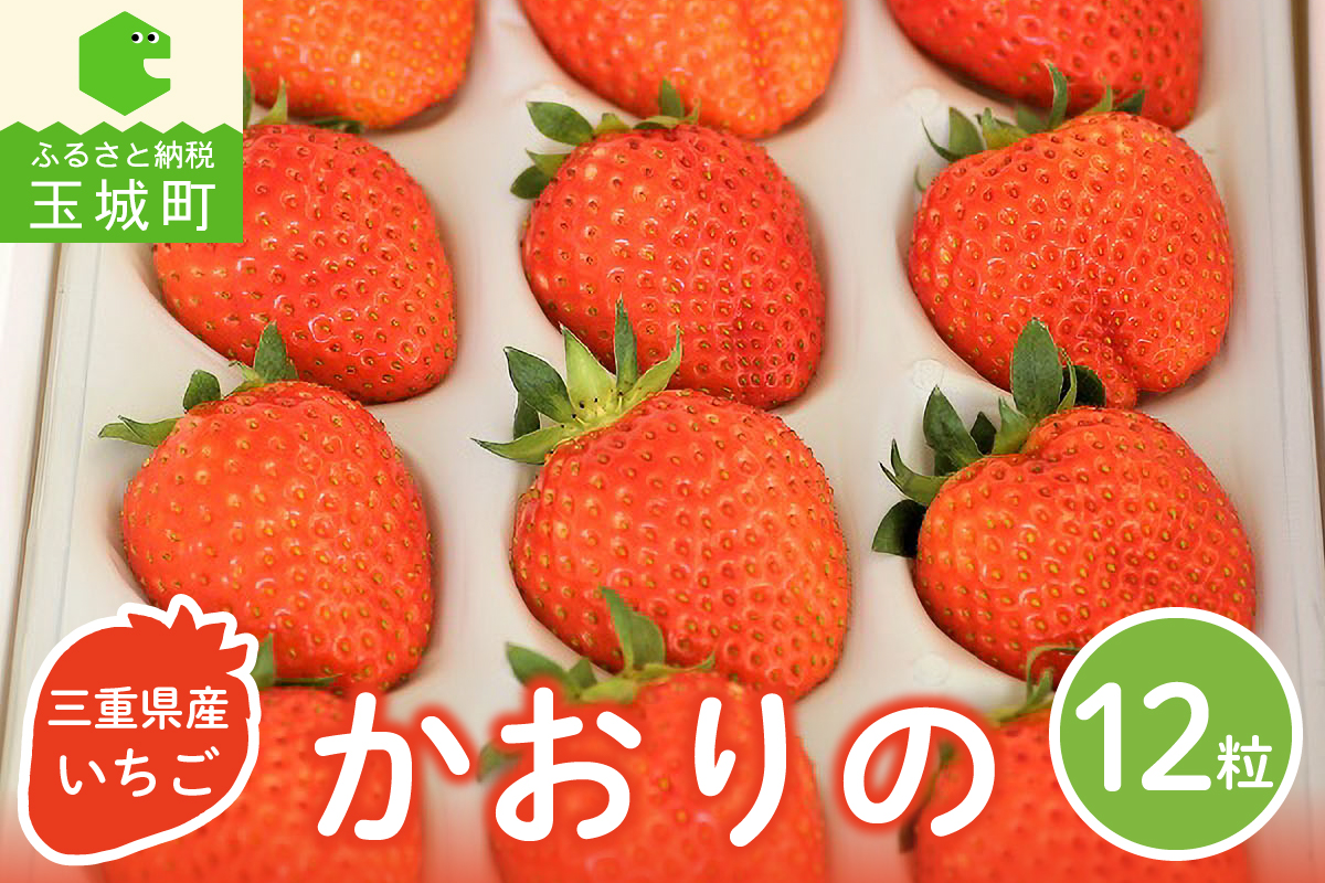 三重県玉城産 いちご 「かおりの」 12粒入り
