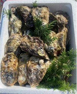 （冷蔵）セル牡蠣　松コース　XLサイズ　30個　加熱用／シェルファームみつなが　かき　伊勢志摩　お取り寄せグルメ　三重県　南伊勢町