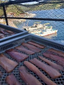 （冷凍） ひもの 干物 5種 700g 以上 お任せ セット 三五七や 天日干し 魚 新鮮干物 ヒモノ 乾物 himono 肴 海産物 海鮮 加工品 伝統製法 美味しい 朝食 和食 おつまみ 旬 惣菜 産地直送 国産 三重 南伊勢