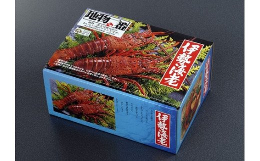 地物 活き伊勢海老Ａコース 1尾（約250～300g）山庄水産／伊勢えび イセエビ 海老 伊勢志摩産: 南伊勢町ANAのふるさと納税