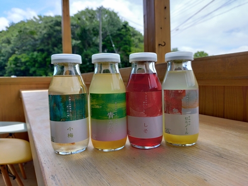 手作り ジュース みかん セミノール 梅 しそ 4種 10本 各 170ml ないぜしぜん村 みかんジュース 蜜柑ジュース 紫蘇ジュース 紫蘇 梅ジュース 小梅 飲料 ミカン 蜜柑 青みかん 温州みかん 産地直送 国産 三重 南伊勢