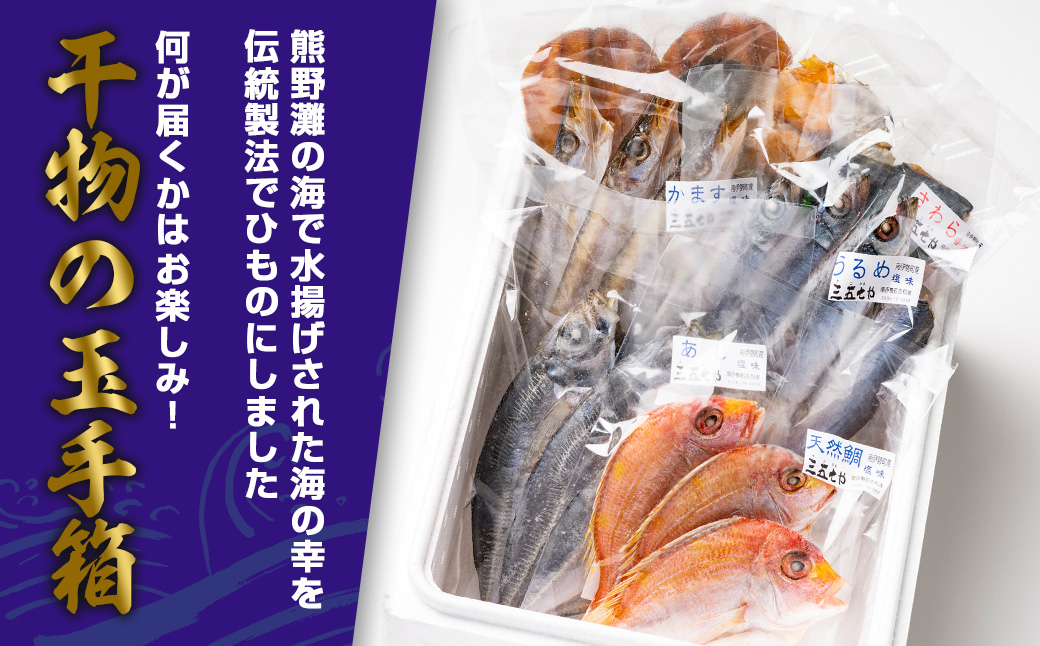 （冷凍） ひもの 干物 7種 1.1kg 以上 お任せ セット 三五七や 天日干し 魚 新鮮干物 ヒモノ 乾物 himono 肴 海産物 海鮮 加工品 伝統製法 美味しい 朝食 和食 おつまみ 旬 惣菜 産地直送 国産 三重 南伊勢