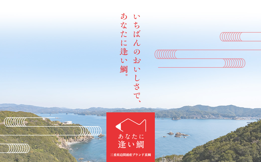 （冷蔵）【２尾】ジュワっと旨み溢れるブランド真鯛 スキンレス 皮あり ／ はさま あなたに逢い鯛。 鯛 真鯛 刺身 しゃぶしゃぶ 鯛めし 三重県 南伊勢町 伊勢志摩