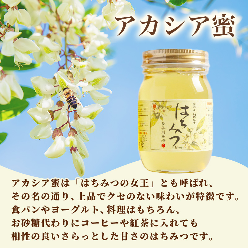 国産 はちみつ アカシア 500ｇ × 2本入り セット 長谷川養蜂 1kg 瓶 希少 純粋はちみつ ハチミツ 蜂蜜 honey 蜜 ヨーグルト 朝食 ハニー 三重県 南伊勢町