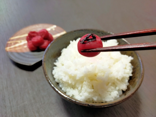 梅干し 五ヶ所小梅 田舎味２００g ３個 計 600g 無添加 樹上 完熟 とろける 塩分 18% ないぜ しぜん村 ふるさと 納税 うめ 梅 ume 手作り うめぼし 伊勢志摩 三重県 南伊勢町