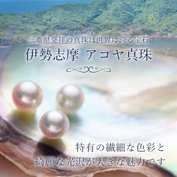 真珠 ペンダント 9mm pt850 プラチナ 大粒 アコヤ真珠 アクセサリー ネックレス ファッション ジュエリー akoya パール フォーマル カジュアル プレゼント ギフト 贈り物 贈答品 お祝い 誕生日 記念日 冠婚葬祭 慶事 弔事 結婚式 卒業式 入学式 国産 三重県 伊勢 志摩 南伊勢町 / パールハヤシ 大粒 9ミリ プラチナ アコヤ真珠 スルーペンダントネックレス