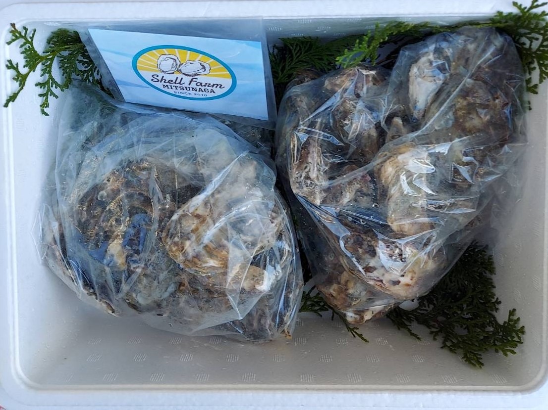 牡蠣 〈訳あり〉冷蔵 殻付き 牡蠣 1.7kg 三重産 不揃い カキ かき 加熱用 カキフライ 牡蠣鍋 蒸し牡蠣 カキ 真牡蠣 BBQ 浜焼き バーベキュー 新鮮 海鮮 魚介 国産 取り寄せ グルメ 料理 オイスター おつまみ お弁当 おかず 惣菜 グラタン バーベキュー ごはん 伊勢 志摩 三重県 南伊勢町 10000円 10000円以下 1万円以下