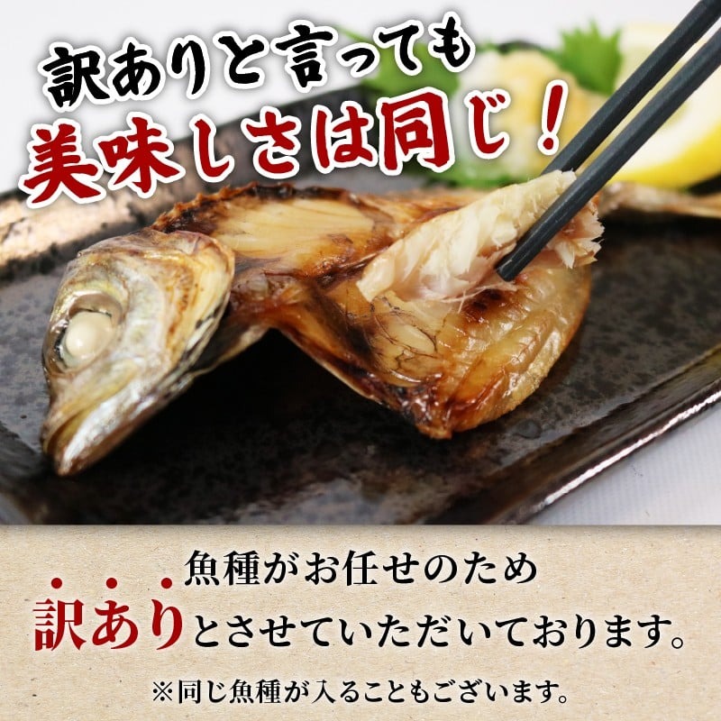訳あり 干物 おまかせ 8パック  冷凍 あじ かます ひもの セット 人気 国産 詰め合わせ おつまみ おかず ギフト お歳暮 旬の魚 規格外 三重 伊勢 志摩 南伊勢町