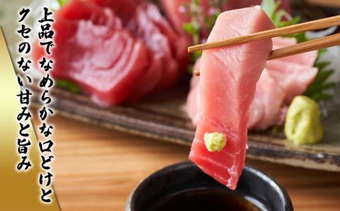 【冷凍】 伊勢 まぐろ 本まぐろ 養殖 赤身 トロ身 計4個 約700g 鮪 お刺身 おさしみ お造り 切り身 マグロ丼 海鮮 本マグロ トロ 三重県産