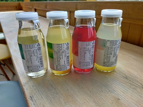 手作り ジュース みかん セミノール 梅 しそ 4種 10本 各 170ml ないぜしぜん村 みかんジュース 蜜柑ジュース 紫蘇ジュース 紫蘇 梅ジュース 小梅 飲料 ミカン 蜜柑 青みかん 温州みかん 産地直送 国産 三重 南伊勢