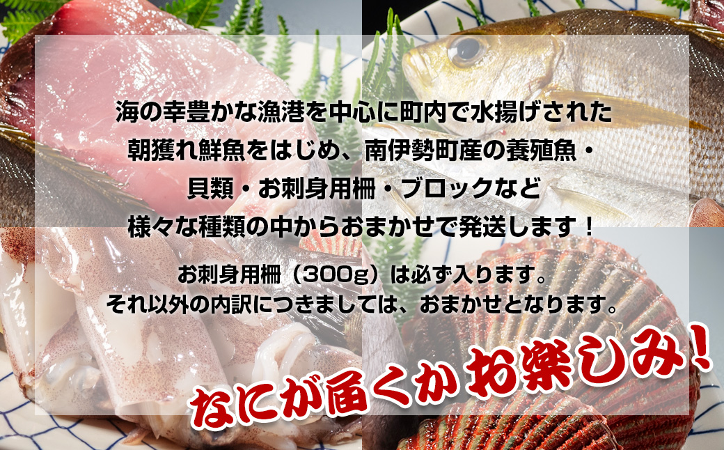（冷蔵）漁協直送！　南伊勢町産　3～5種　朝獲れ鮮魚セット／三重外湾漁業組合　お刺身　新鮮　詰合せ　おいしい　とれたて　旬　三重県　伊勢志摩
