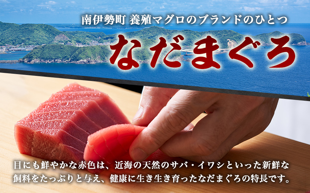 No.519】（冷凍） 本まぐろ 赤身 中トロ 大トロ お醤油 詰合せ３～４人前 伊勢志摩まぐろ食堂 ／ 本鮪 豪華セット 本鮪 お刺身専用 醤油  粗びき塩 三重県 南伊勢町: 南伊勢町ANAのふるさと納税