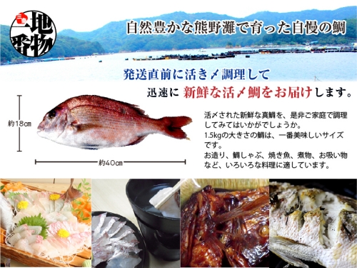 （冷蔵） 真鯛 捌いてお届け （ 三枚おろし スキンレス ） ／ マルカ水産 活〆 真空パック アラ お刺身 しゃぶしゃぶ お造り 煮物 お吸い物 縁起物 三重県 南伊勢町