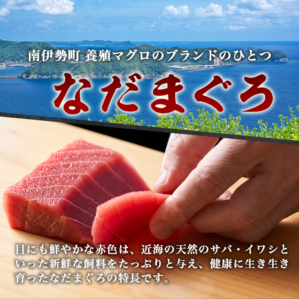 本マグロ 刺身 柵 赤身 中トロ 計300g 詰合せ 2～3人前 伊勢志摩まぐろ食堂 / 本まぐろ 本鮪 専門店 食べ比べ マグロ 鮪 刺し身お刺身 三重県 伊勢志摩 南伊勢町 1万円台 2万円以下