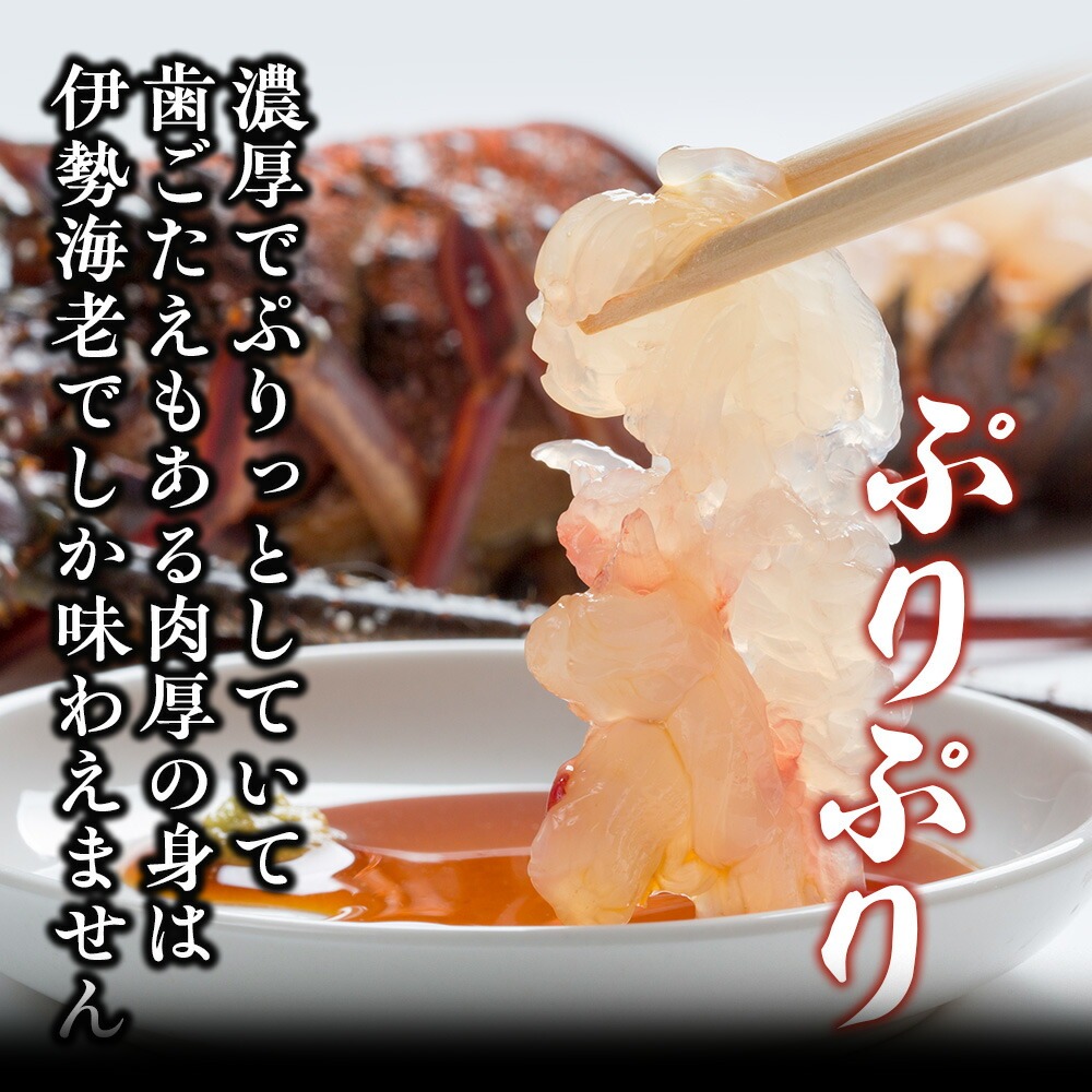 最高級 活き 伊勢海老 約400g 1～2尾 Aコース 伊勢えび 産地直送 天然 国産 海鮮 新鮮 刺し身 味噌 焼き物 ギフト 贈答 えび 海老 ebi いせえび 高級食材 お歳暮 お正月 年末年始 三重県 南伊勢 伊勢 志摩 25000円 二万五千円