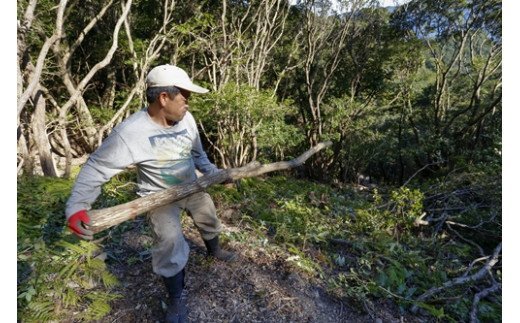 伊勢志摩 備長炭　半長大　約3kg／マルモ 製炭所　BBQ　料理　炭火　七輪　囲炉裏　火鉢　キャンプ