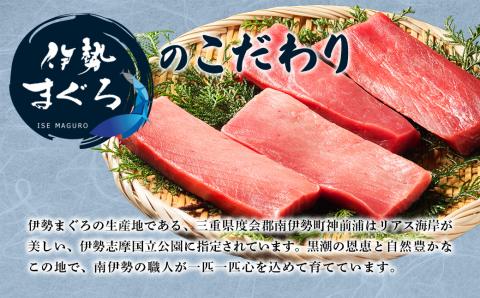 【冷凍】 伊勢 まぐろ 本まぐろ 養殖 赤身 トロ身 計4個 約700g 鮪 お刺身 おさしみ お造り 切り身 マグロ丼 海鮮 本マグロ トロ 三重県産