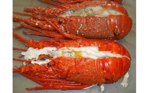 （冷凍） 伊勢志摩産 活〆半割り 伊勢海老 2尾 詰め合わせ 生食用 ／ 丸池 伊勢えび イセエビ 海の幸 三重県 南伊勢町 伊勢志摩