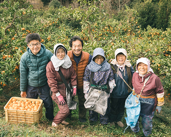 みかん 五ヶ所みかん 1箱 3kg 甘くておいしい ミカン 蜜柑 柑橘 果物 フルーツ 甘い 甘味 mikan 三重県 南伊勢町 伊勢志摩産