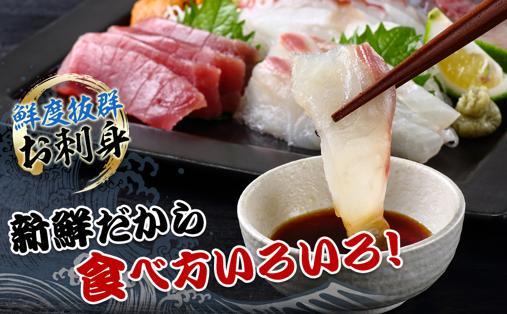 （冷蔵）漁協直送！　南伊勢町産　3～5種　朝獲れ鮮魚セット／三重外湾漁業組合　お刺身　新鮮　詰合せ　おいしい　とれたて　旬　三重県　伊勢志摩