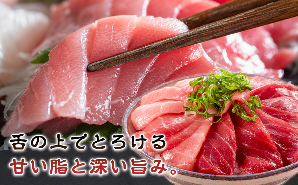 No.519】（冷凍） 本まぐろ 赤身 中トロ 大トロ お醤油 詰合せ３～４人前 伊勢志摩まぐろ食堂 ／ 本鮪 豪華セット 本鮪 お刺身専用 醤油  粗びき塩 三重県 南伊勢町: 南伊勢町ANAのふるさと納税